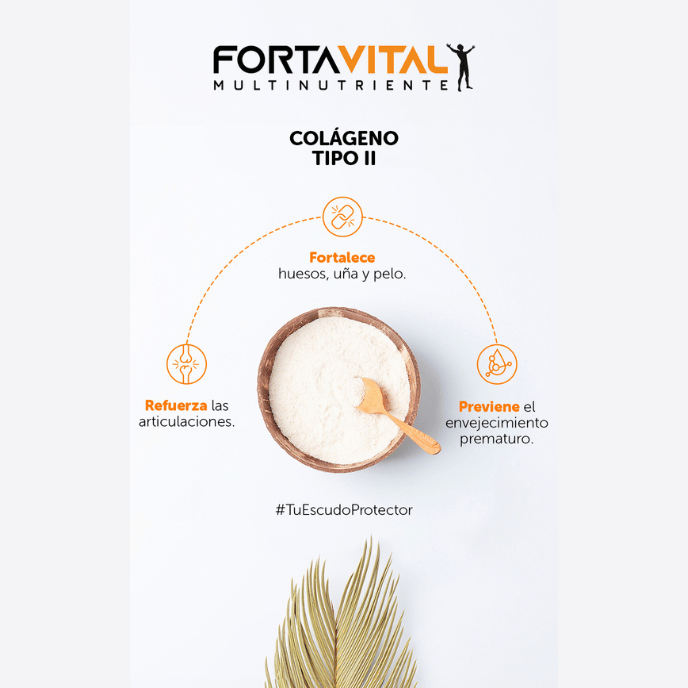 FORTAVITAL SACHETS 3 MESES - Forta Vital